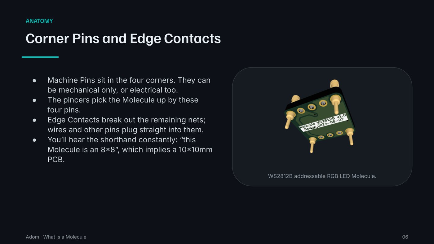 Slide 6