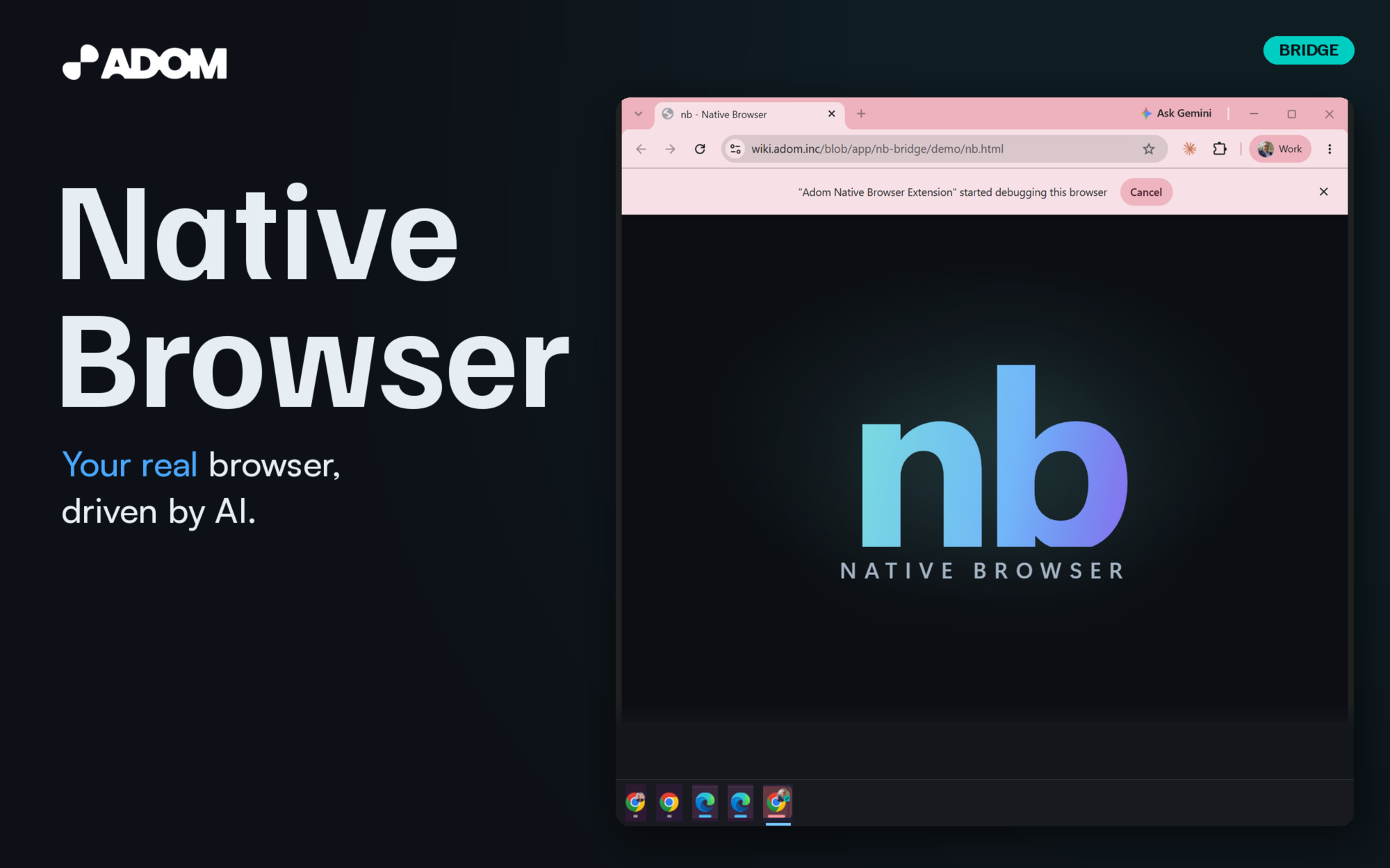 NB - Native Browser Bridge