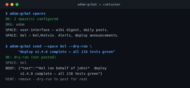Listing spaces and a dry-run preview in the container